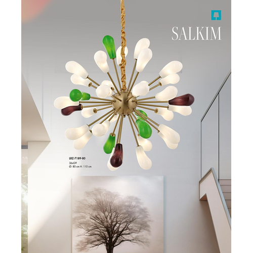 Salk�m Sark�t Avize