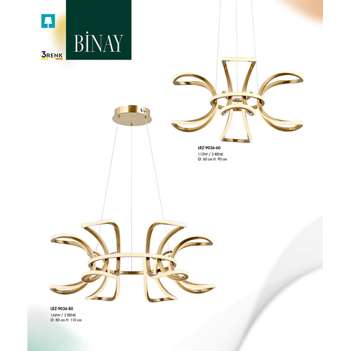 Binay Sark�t Avize