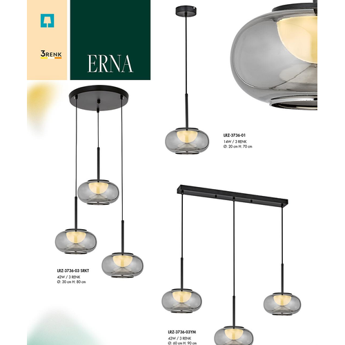 Erna Sark�t Avize
