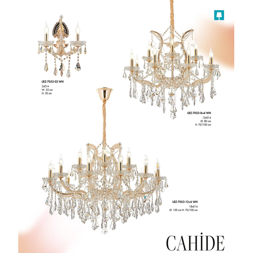 Cahide Sark�t Avize