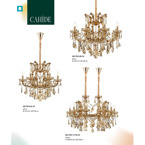 Cahide Sark�t Avize