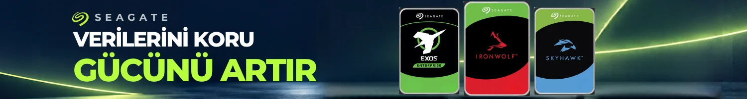 Seagate Disk