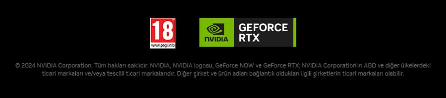 NVIDIA GeForce RTX