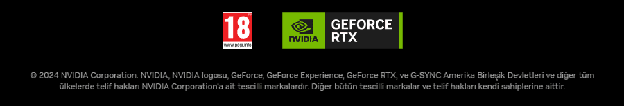 NVIDIA GeForce RTX