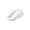G�rsel 4