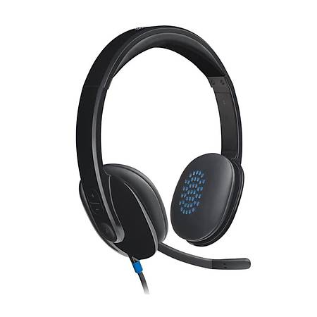 Logitech H540 USB Kablolu Kulaklk 981-000480