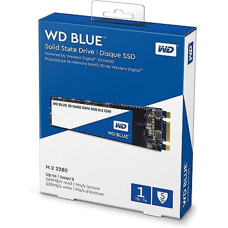 WD Blue Serisi 1TB M.2 SSD Disk WDS100T2B0B