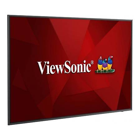 ViewSonic CDE6520 64.5 4K 3840x2160  60Hz 8ms HDMI VGA DP Lcd Monitör