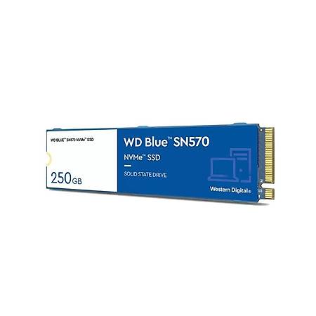WD Blue SN570 NVMe 250GB M.2 2280 SSD Disk WDS250G3B0C