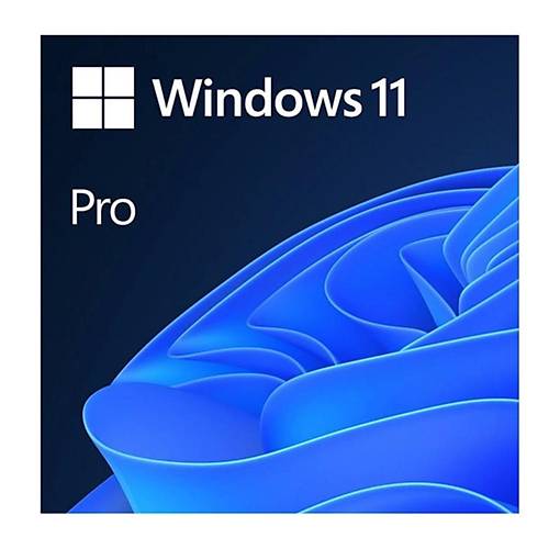 Microsoft Windows 11 Pro 64Bit Trke Kutu HAV-00159