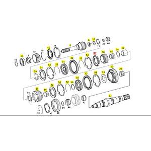 5. V�TES SENKROME�