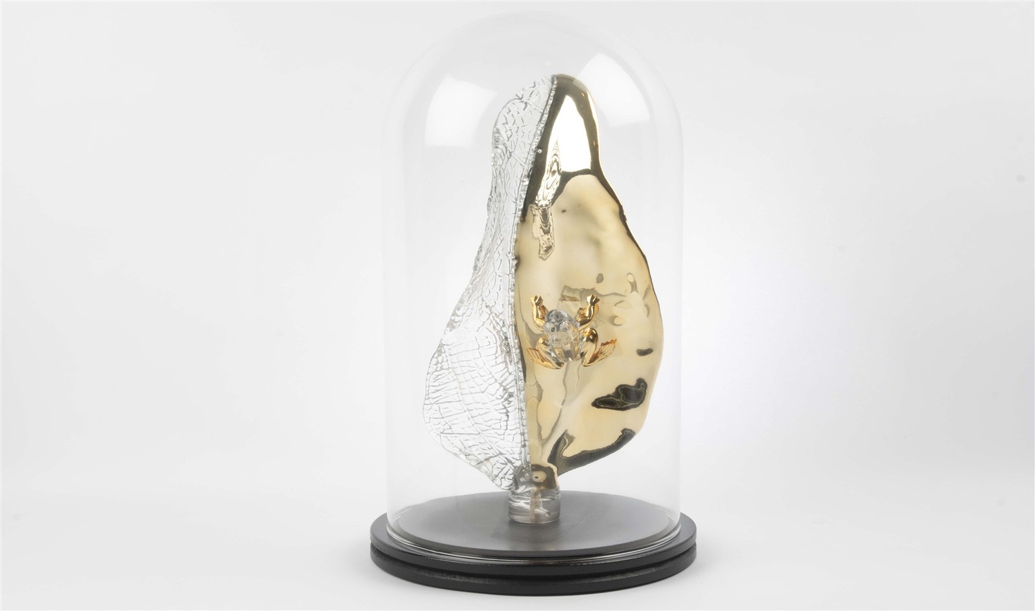 Gold Kristal Yaprak Kurbağa Fanus 42x22 cm