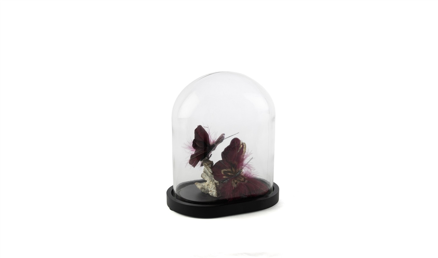 Bordo Kelebekli Cam Fanus 17x12x23 cm