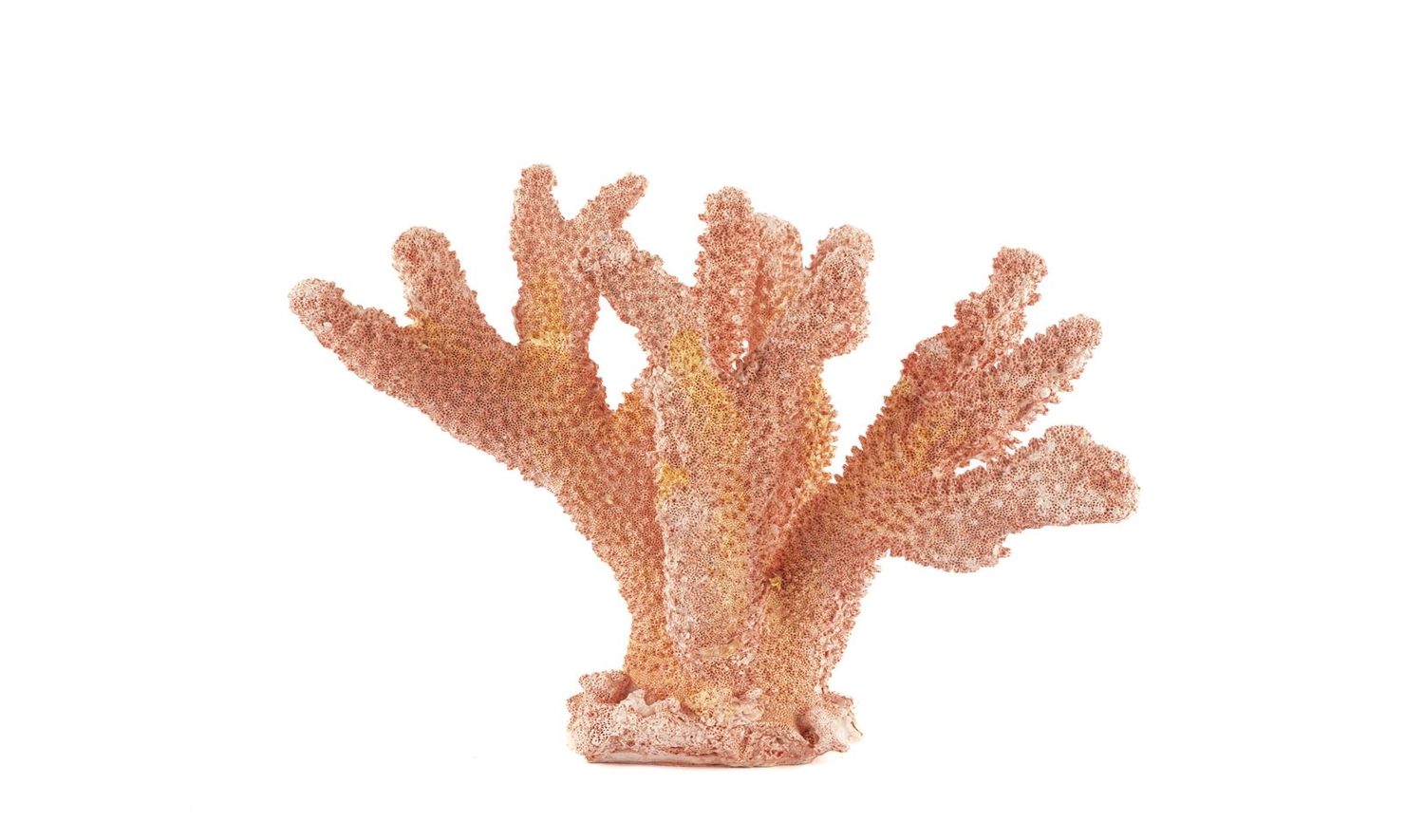 Pembe Mercan 18x20 cm