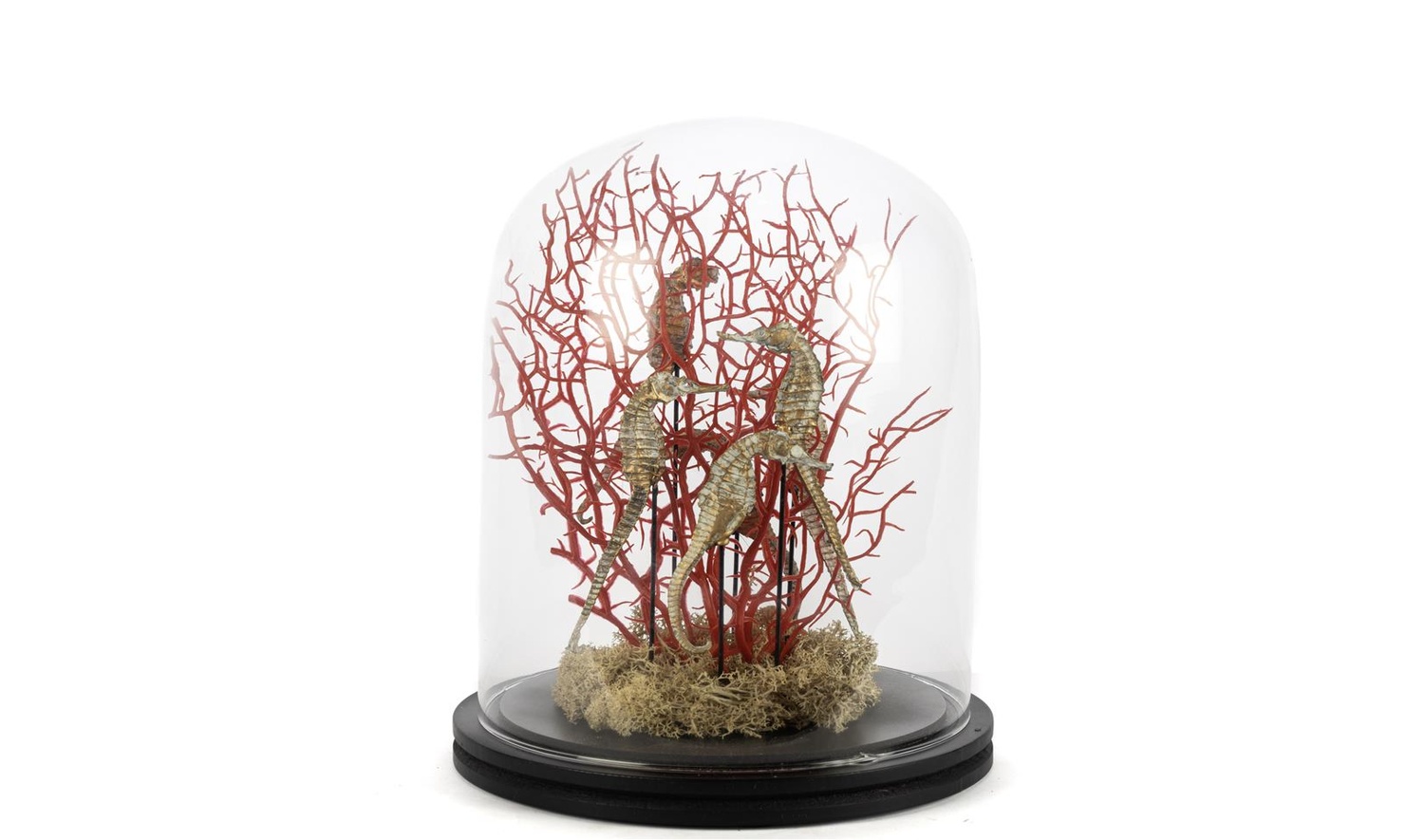 Coral Oranj Gold Dekoratif Cam Fanus 22x30 cm