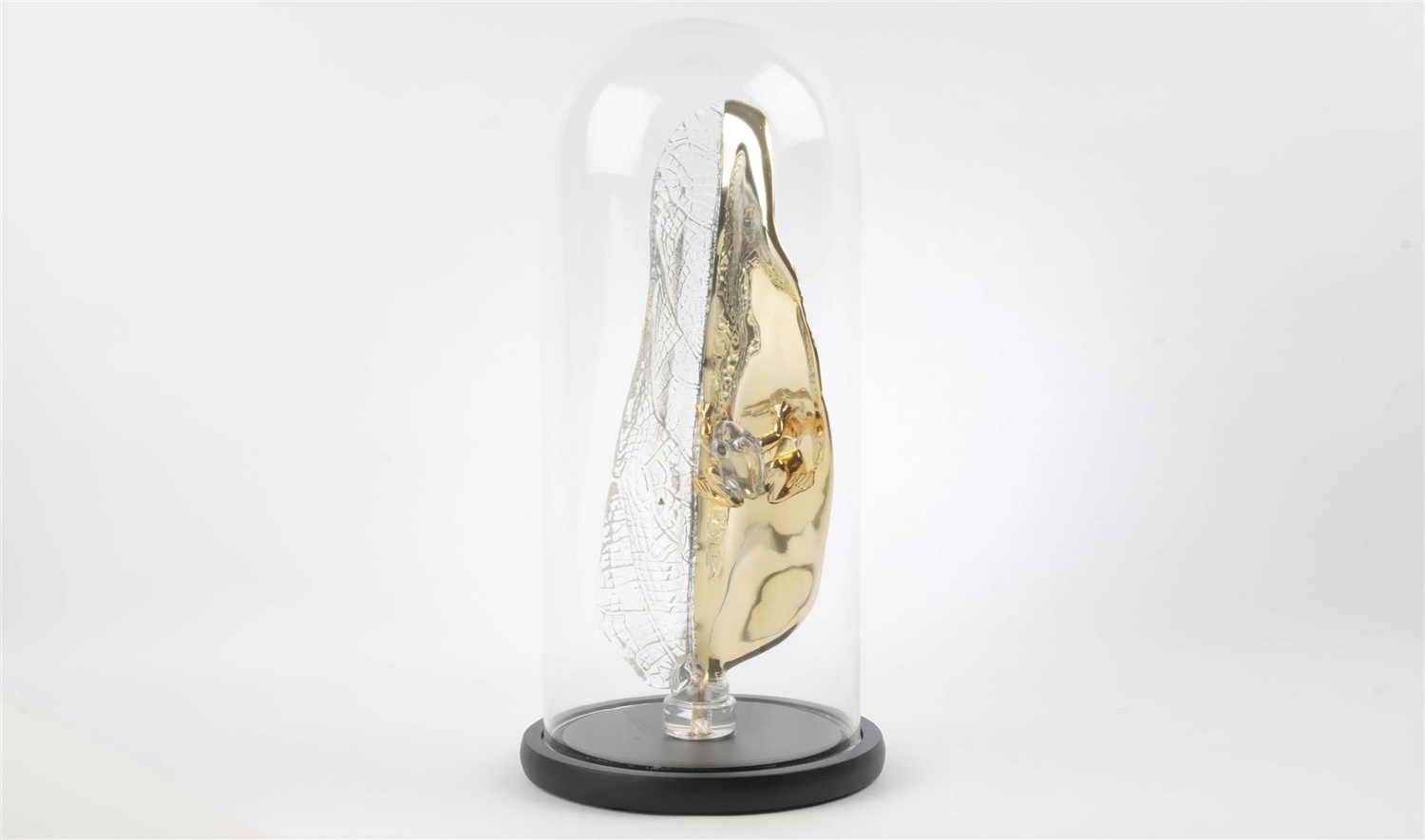 Gold Kristal Yaprak Kurbağa Fanus 41x16 cm
