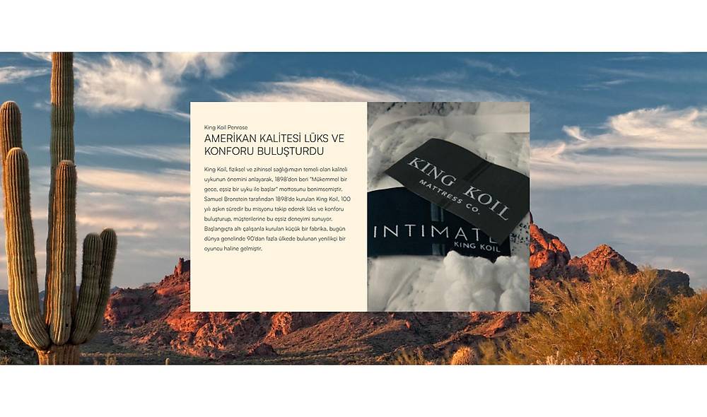 Yatsan King Koil Penrose Visco Hybrid Yatak