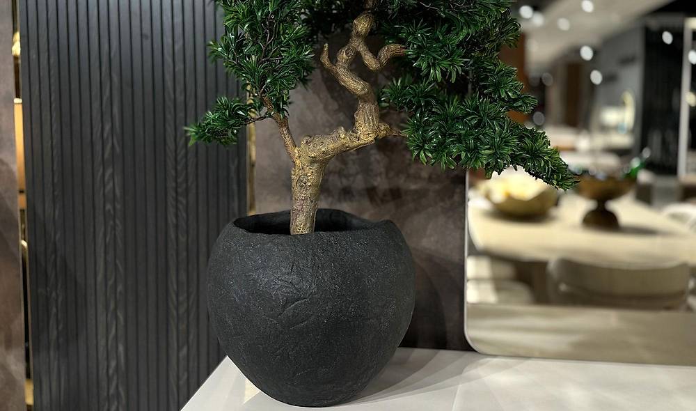 Yapay Bonsai ve Siyah Saks�