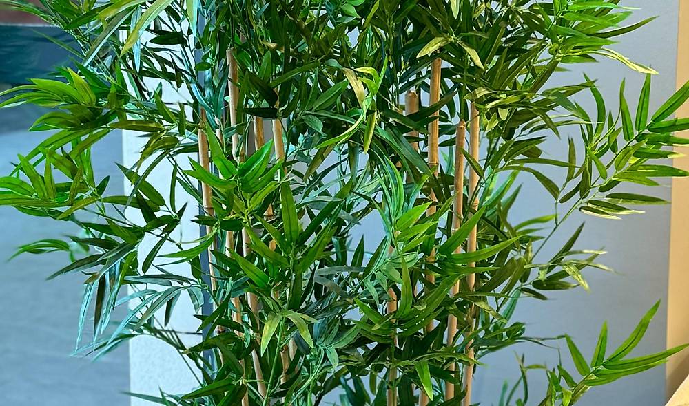 Siyah Saks� - 31987