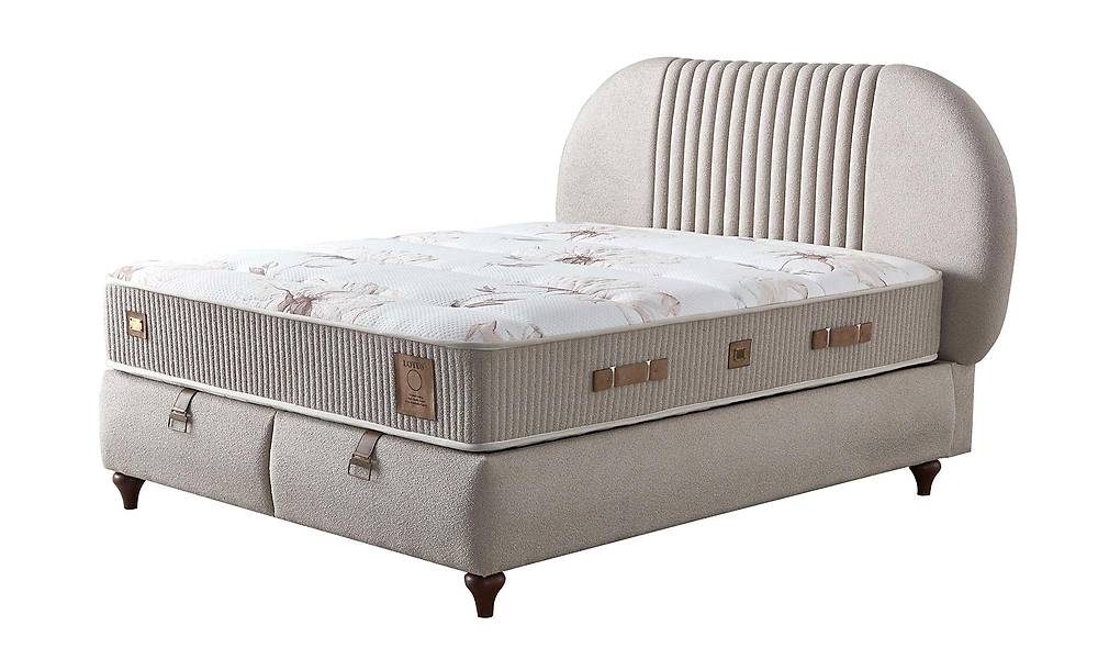 Lotus Baza - New