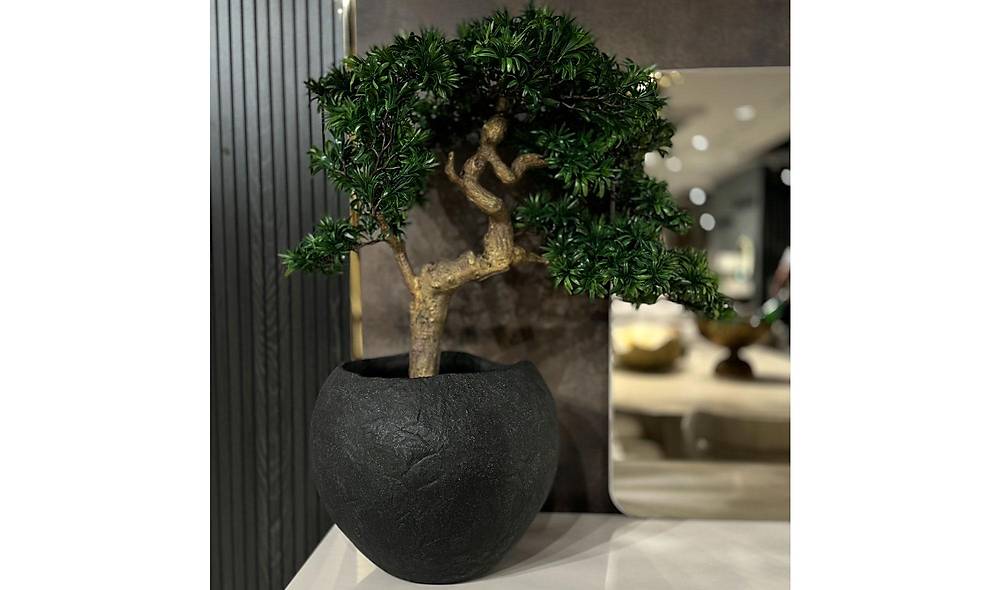 Yapay Bonsai ve Siyah Saks�