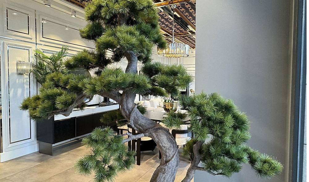Bonsai A�a� ve Beyaz Saks�