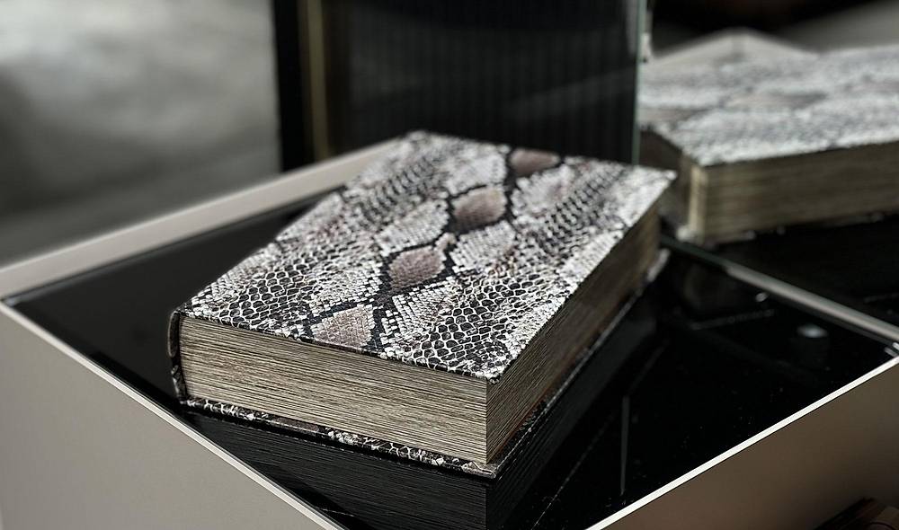 Snake Kitap Kutusu - 1 Adet