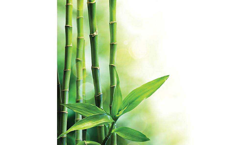 Yatsan Maison Bamboo Touch Bebek Yastk