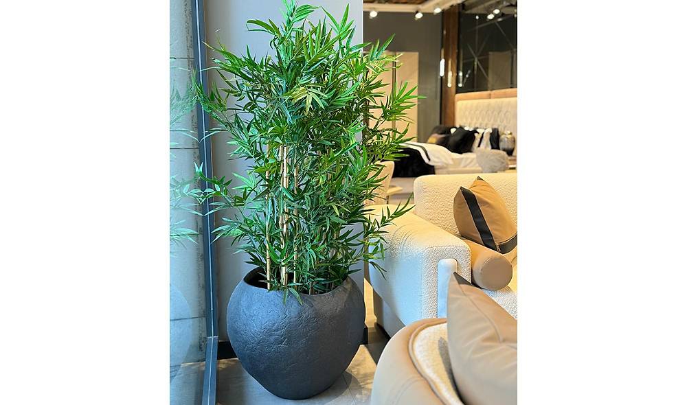 Siyah Saks� - 31987