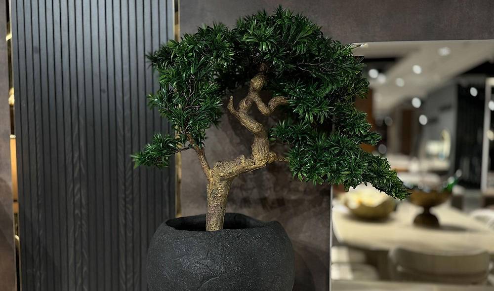 Yapay Bonsai ve Siyah Saks�