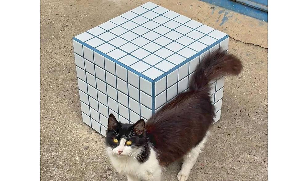 Box Yan Sehpa