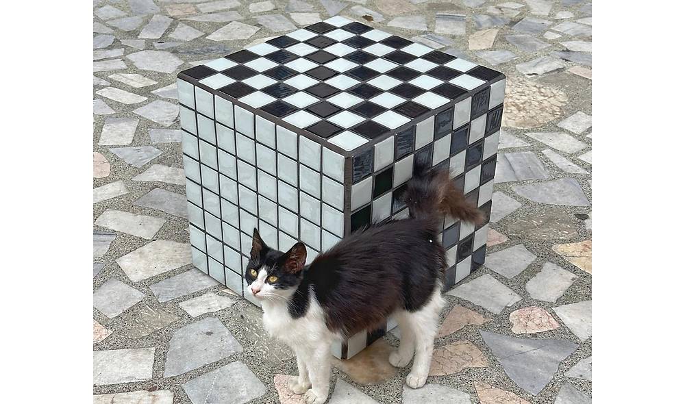 Box Yan Sehpa