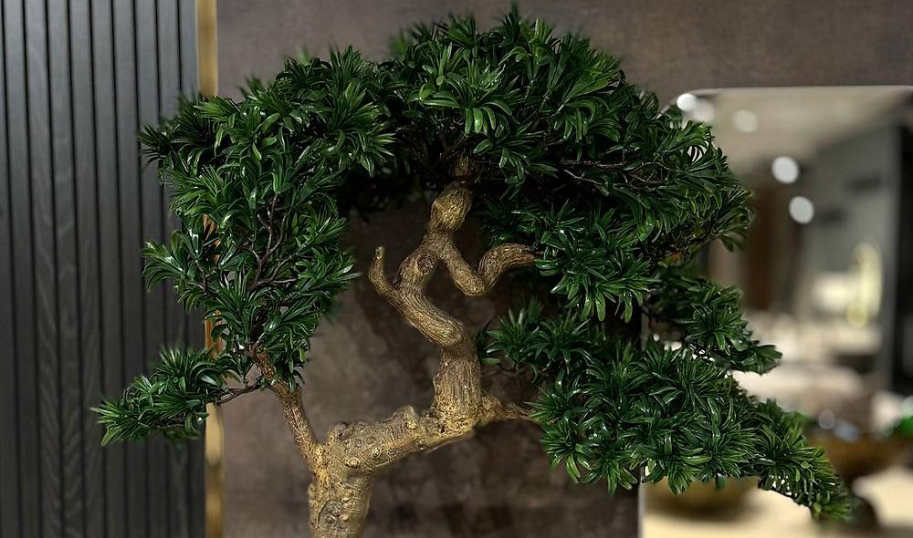 Yapay Bonsai ve Siyah Saks�