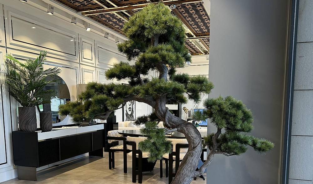 Bonsai A�a� ve Beyaz Saks�
