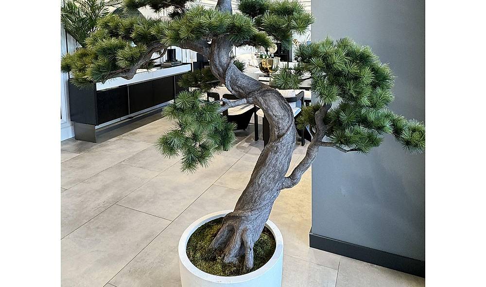 Bonsai A�a� ve Beyaz Saks�