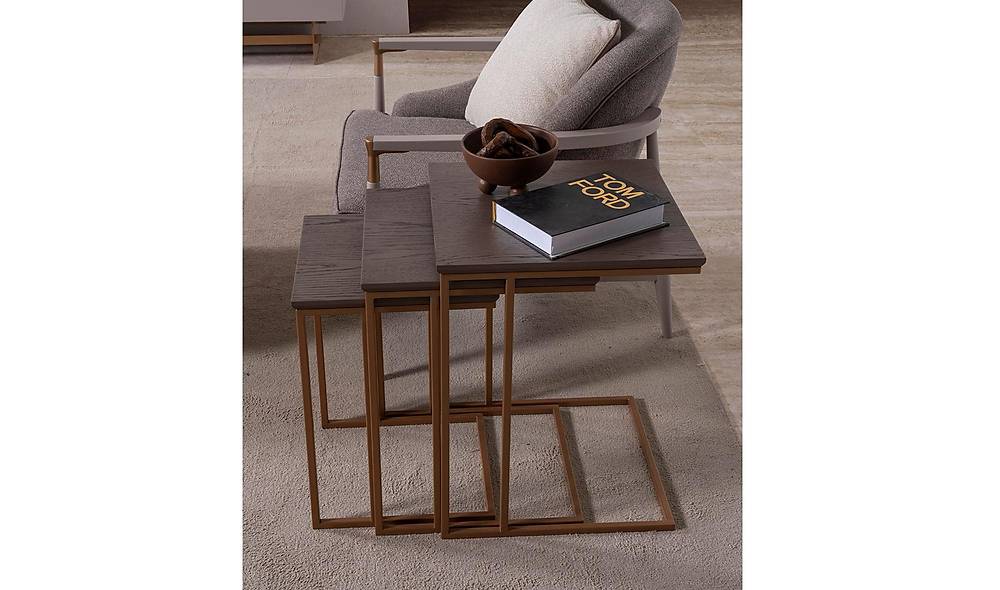 Pasifica Tv �nitesi