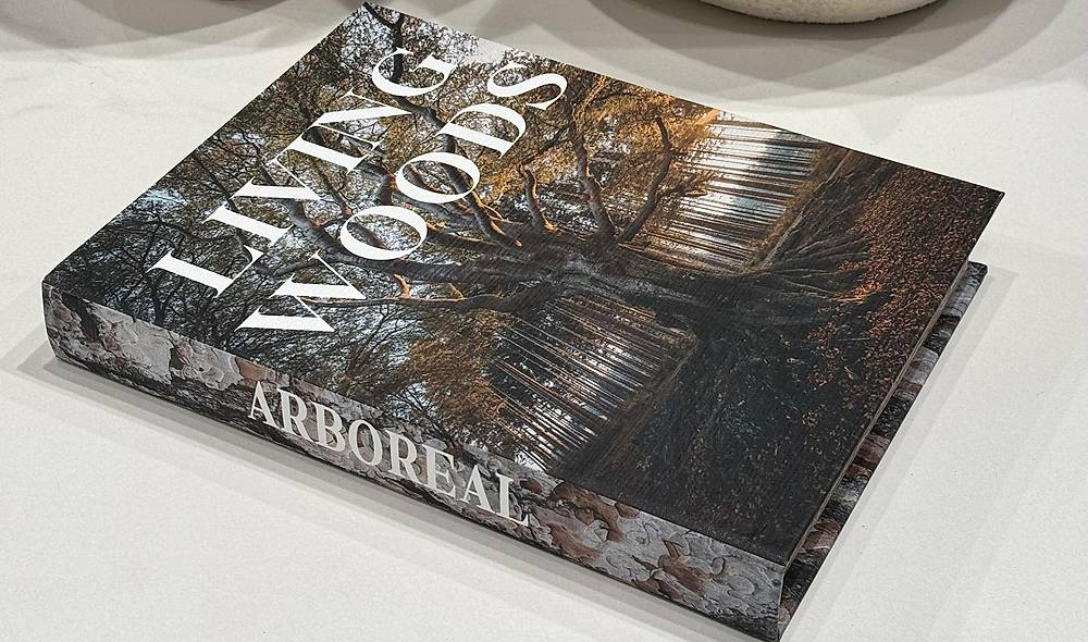 Living Woods Forest Kitap Kutusu - 29x22 cm