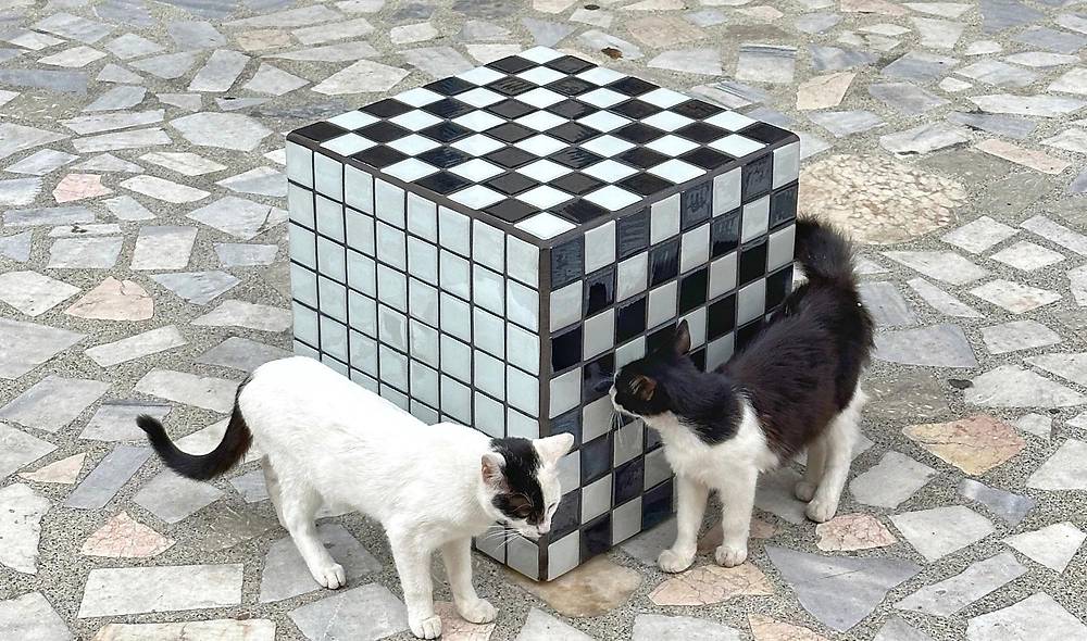 Box Yan Sehpa