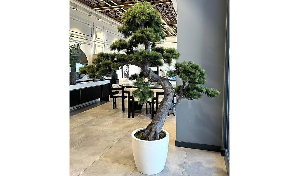 Bonsai A�a� ve Beyaz Saks�