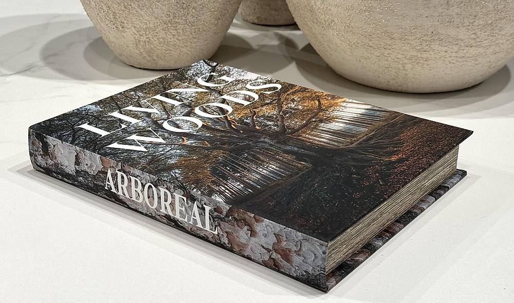 Living Woods Forest Kitap Kutusu - 34x24 cm