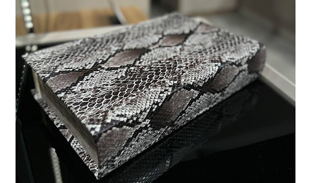 Snake Kitap Kutusu - 1 Adet