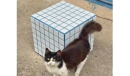 G�rsel 41