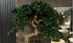 G�rsel 5