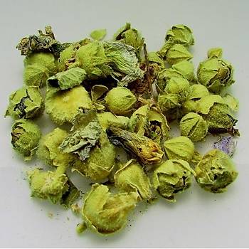 Hatmi iei 35 gram