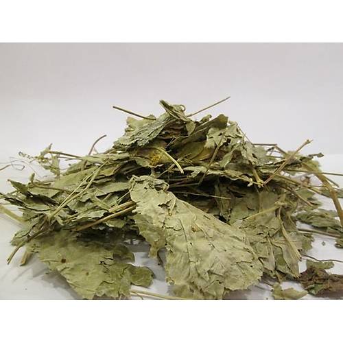 Aslan Pen�esi 25  gram