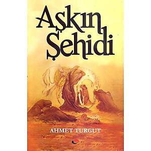 A�k�n �ehidi / Ahmet Turgut