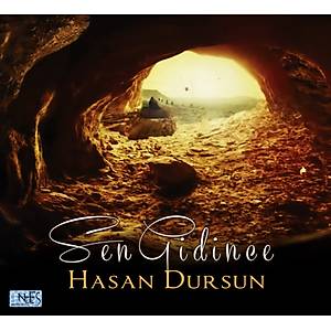 Hasan Dursun / Sen Gidince
