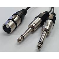 XLR Dii to 2x 6.3 mm Mono Erkek Kablo 2 Metre