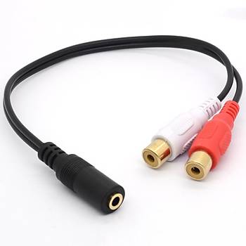 3.5 mm Stereo Dii to 2x RCA Dii Kablo 30 cm