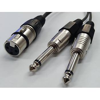 XLR Dii to 2x 6.3 mm Mono Erkek Kablo 2 Metre